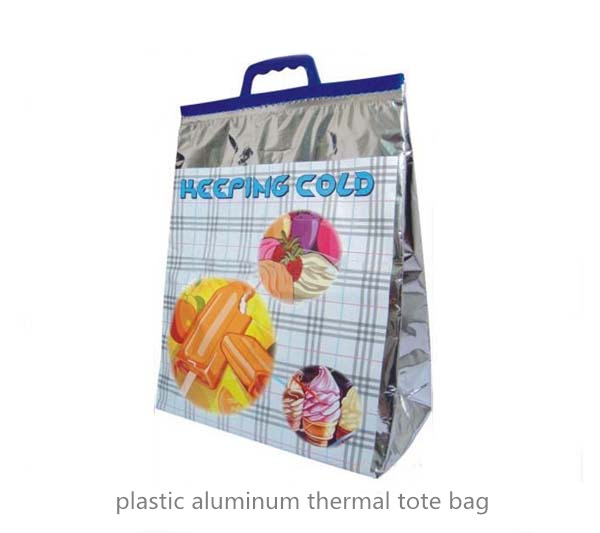 insulated cooler bag for frozen food