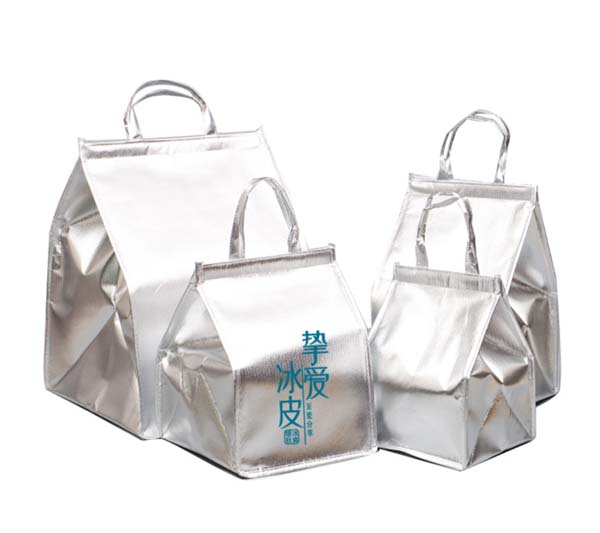 Silver Metallic Cooler Bag 