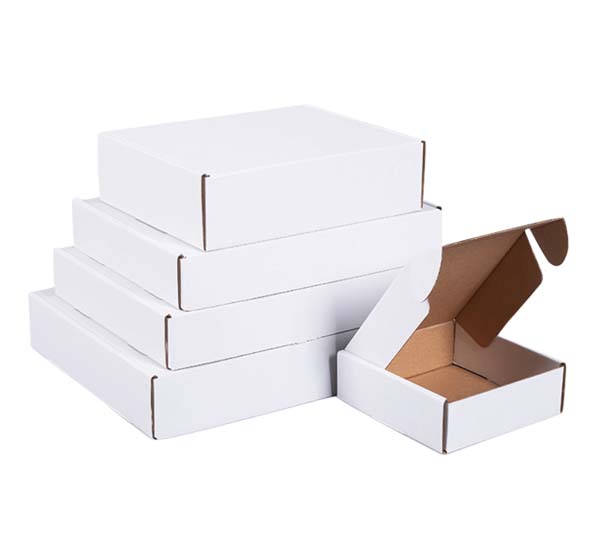 White Corrugated Shipping Box 