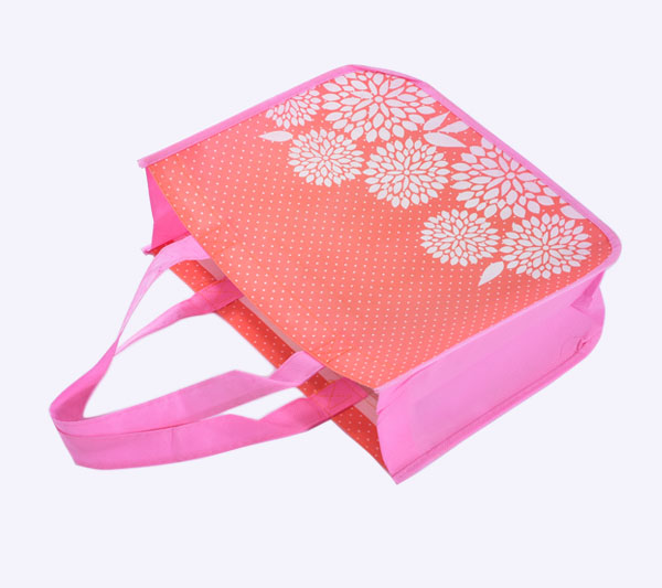 non woven gift bag 