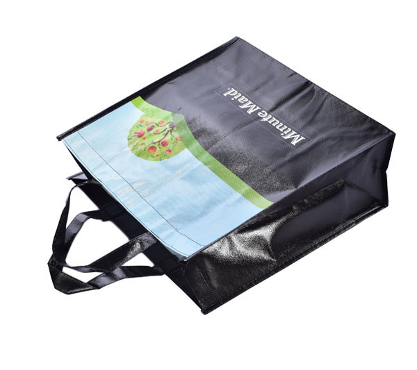 buy non woven gift bag at best price in ecofaith bags