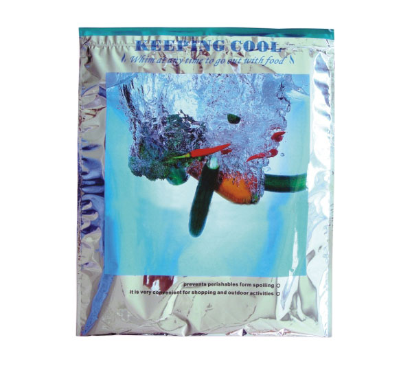 cold chain transportation cooler bag for foods 