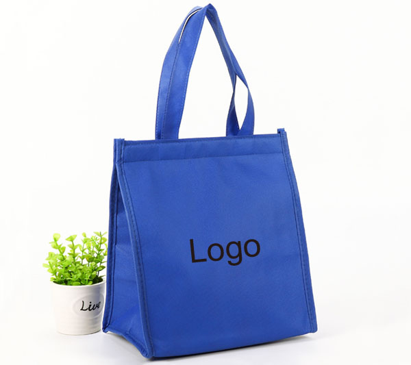 Non Woven Cooler Bag 