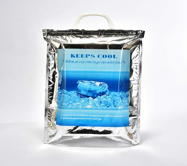 thermal hot cold bag with plastic handle 