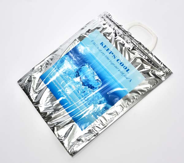 thermal hot cold bag with plastic handle 